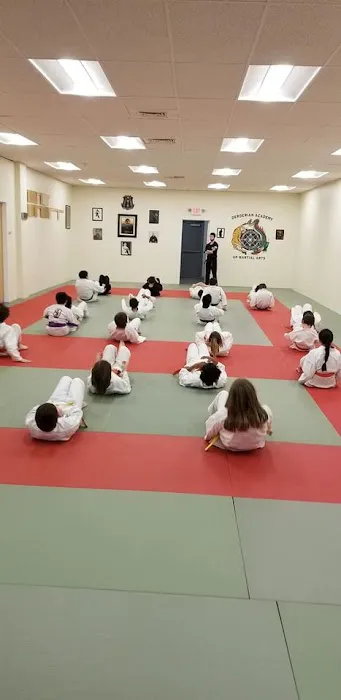 Derderian Academy of Martial Arts Picture 5