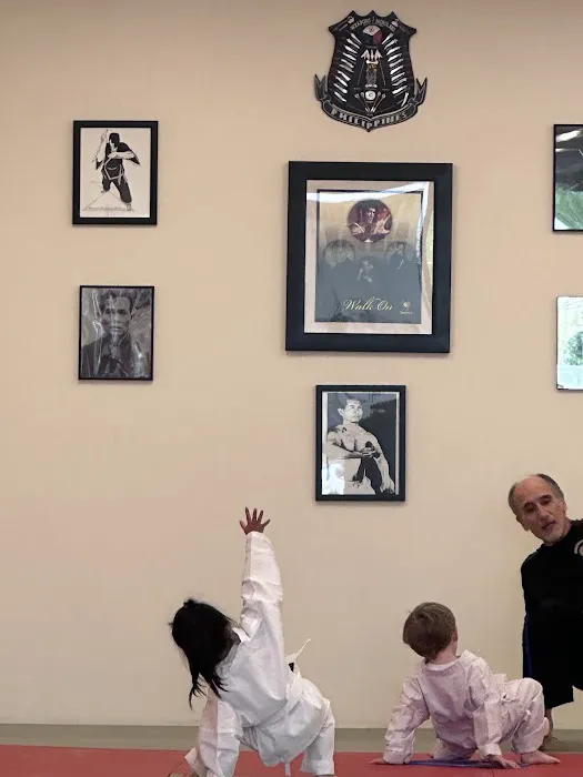 Derderian Academy of Martial Arts Picture 1