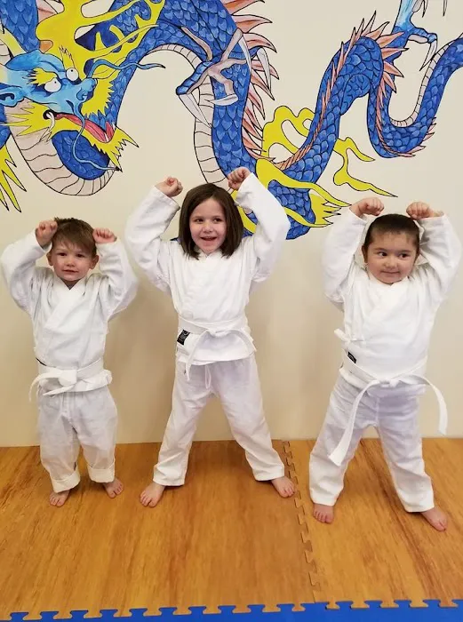 Derderian Academy of Martial Arts Picture 4