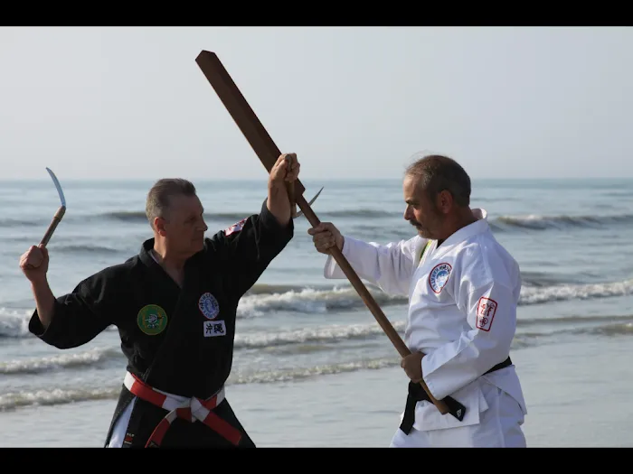 Okinawan Temple Karate Picture 9