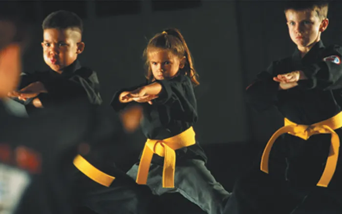 Bushido Martial Arts & Fitness Picture 10