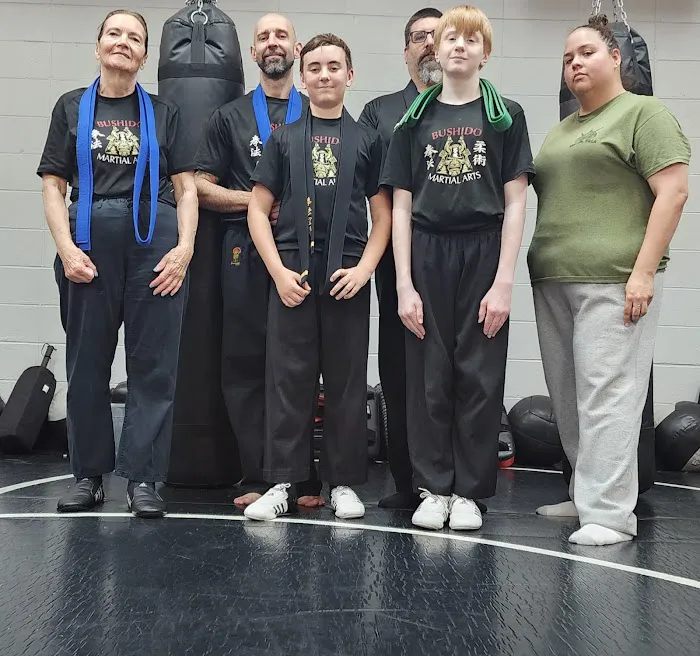 Bushido Martial Arts & Fitness Picture 9