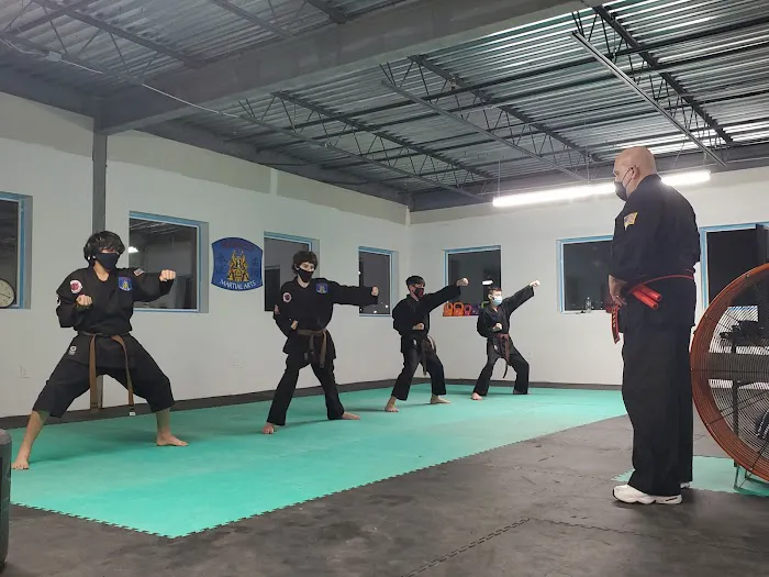Bushido Martial Arts & Fitness Picture 5