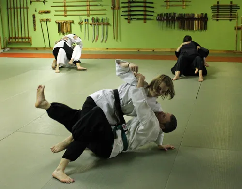 Kodokai Dojo Picture 1