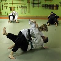 Kodokai Dojo ico