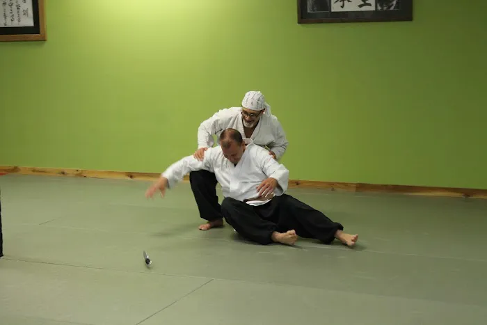 Kodokai Dojo Picture 3