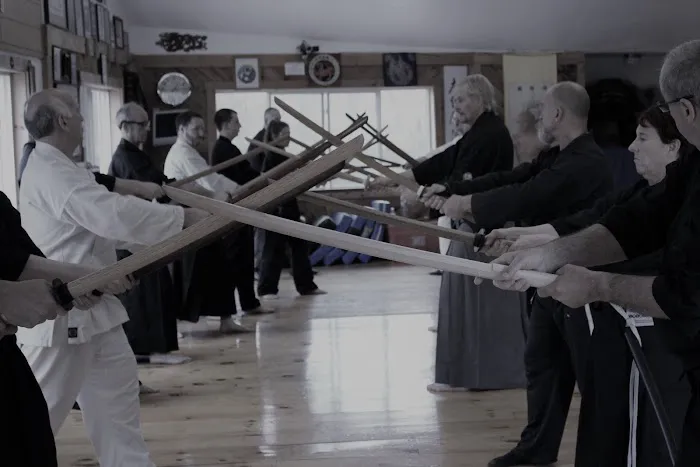 The Budo Academy LLC Picture 5