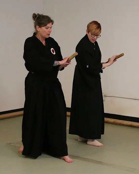 The Budo Academy LLC Picture 4