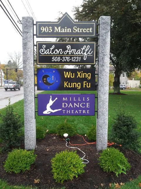 Wu Xing Kung Fu Picture 9