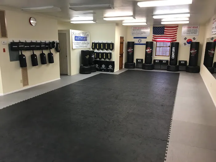 Passaic Valley Martial Arts Inc Picture 7