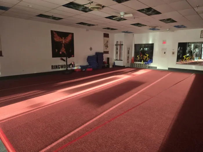 American Phoenix Karate Picture 2