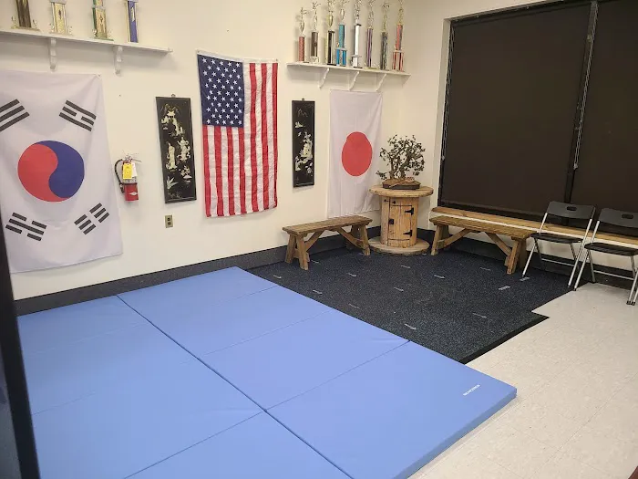 American Phoenix Karate Picture 7