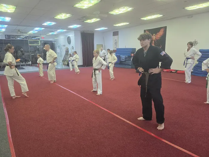 American Phoenix Karate Picture 1