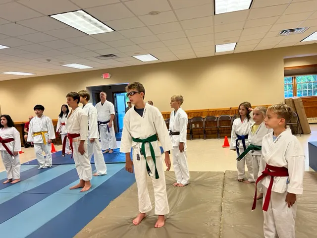 American Phoenix Karate Picture 3