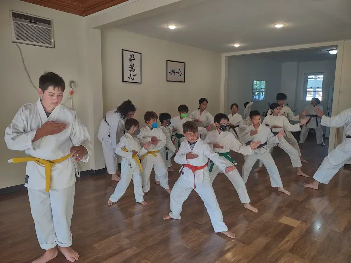 Martial Arts International Institute Picture 6