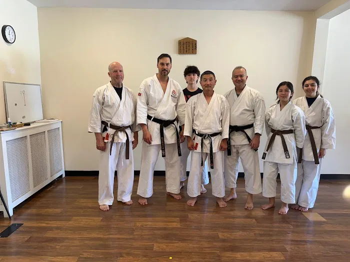 Martial Arts International Institute Picture 3