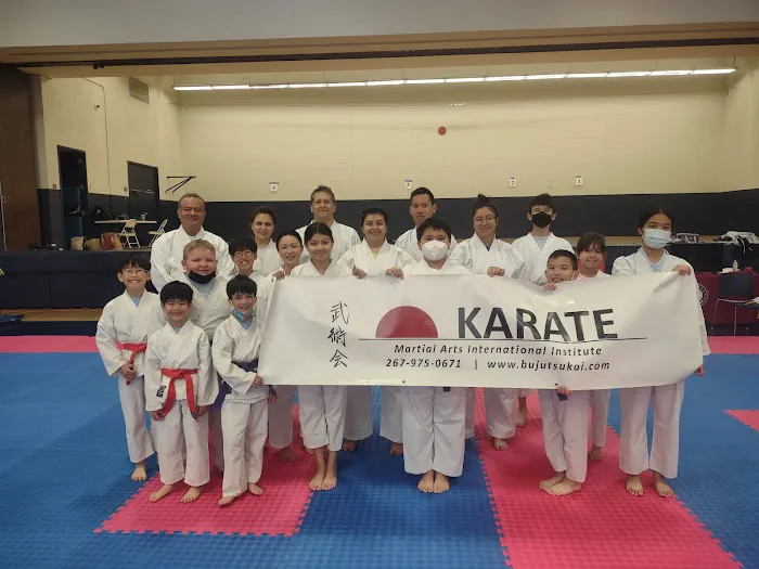 Martial Arts International Institute Picture 1