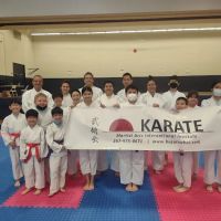 Martial Arts International Institute ico