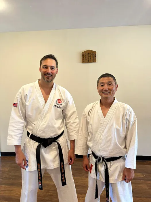 Martial Arts International Institute Picture 8