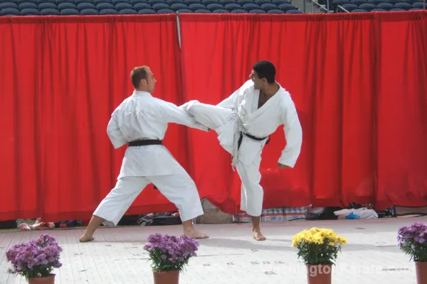 Washington Karate Picture 7