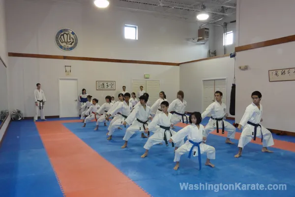 Washington Karate Picture 5