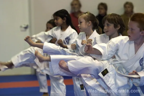 Washington Karate Picture 6