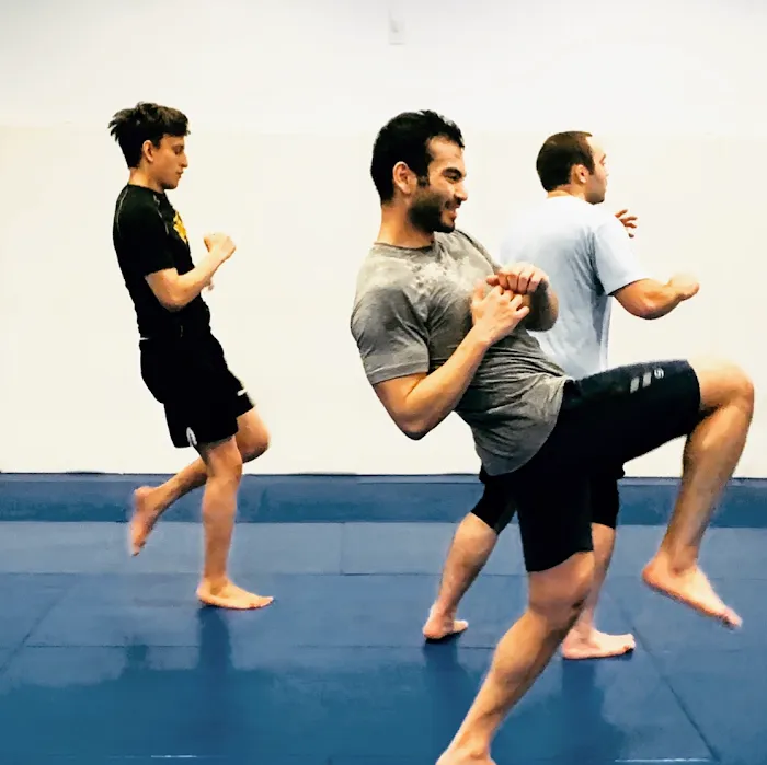 Mat Chess Mixed Martial Arts Picture 9