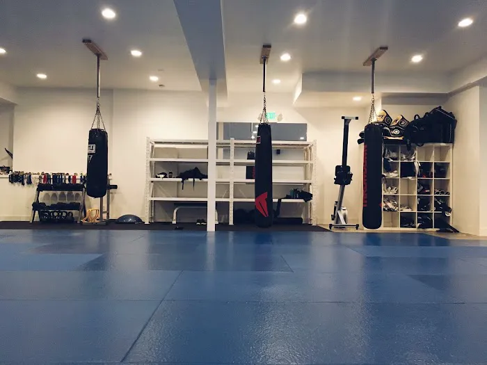 Mat Chess Mixed Martial Arts Picture 3