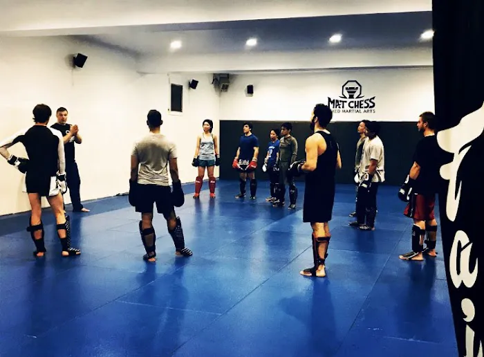 Mat Chess Mixed Martial Arts Picture 1