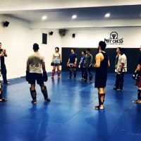 Mat Chess Mixed Martial Arts ico