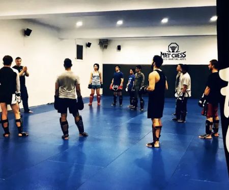 Mat Chess Mixed Martial Arts