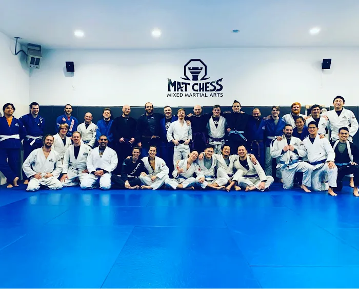 Mat Chess Mixed Martial Arts Picture 8