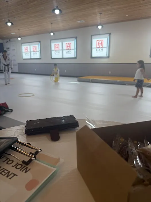 HYO Martial Arts Picture 1