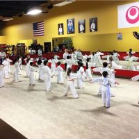 Yamashita Martial Arts ico