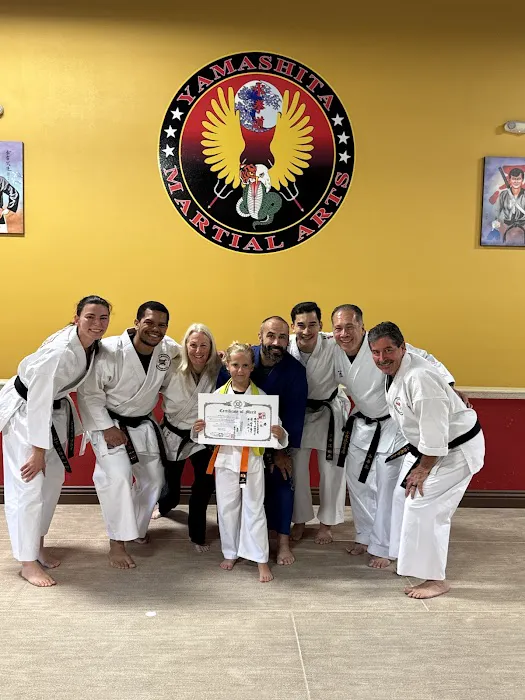 Yamashita Martial Arts Picture 4