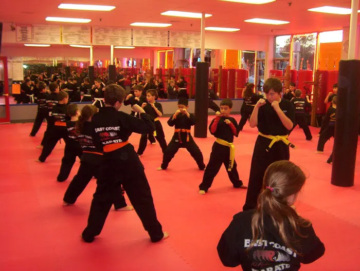 East Coast Karate - Seaford Picture 3