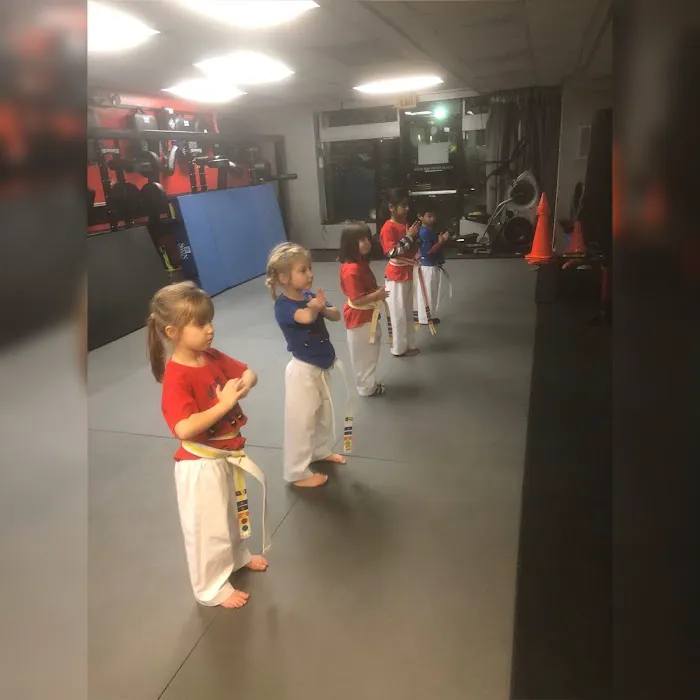 Ultimate Martial Arts Evolution Picture 6