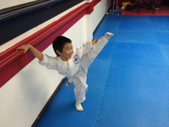 Ultimate Martial Arts Evolution Picture 9
