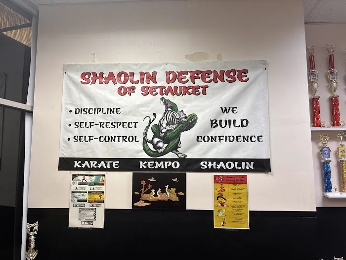 Shaolin Defense of Levittown Picture 5