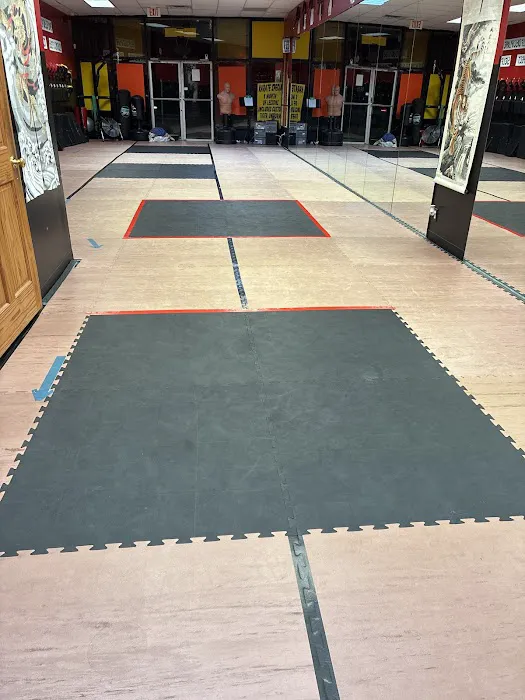 Shaolin Defense of Levittown Picture 2