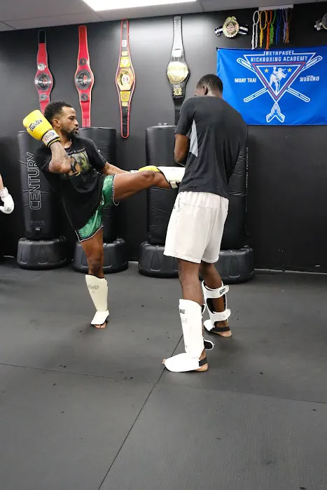 Bethpage Kickboxing Academy Picture 7