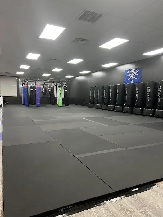 Bethpage Kickboxing Academy Picture 8