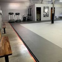 Cobrinha Brazilian Jiu Jitsu Academy Las Vegas ico
