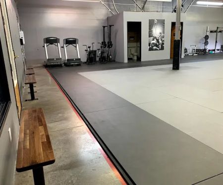 Cobrinha Brazilian Jiu Jitsu Academy Las Vegas