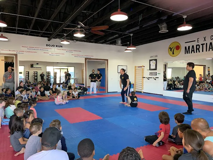 Excel Martial Arts Picture 5
