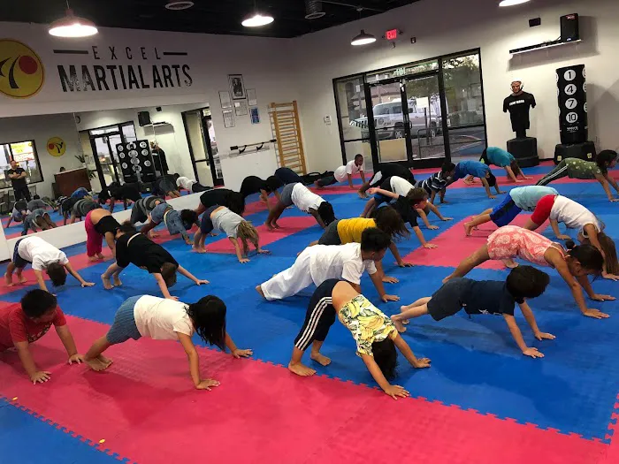 Excel Martial Arts Picture 6