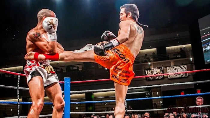 Andrada Muay Thai Picture 1