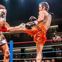Andrada Muay Thai ico