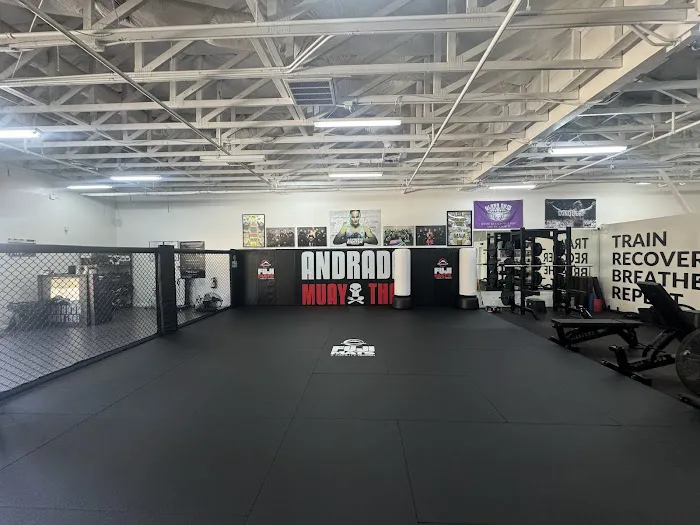 Andrada Muay Thai Picture 2