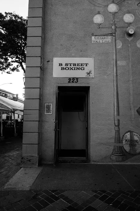 B Street Boxing Picture 9
